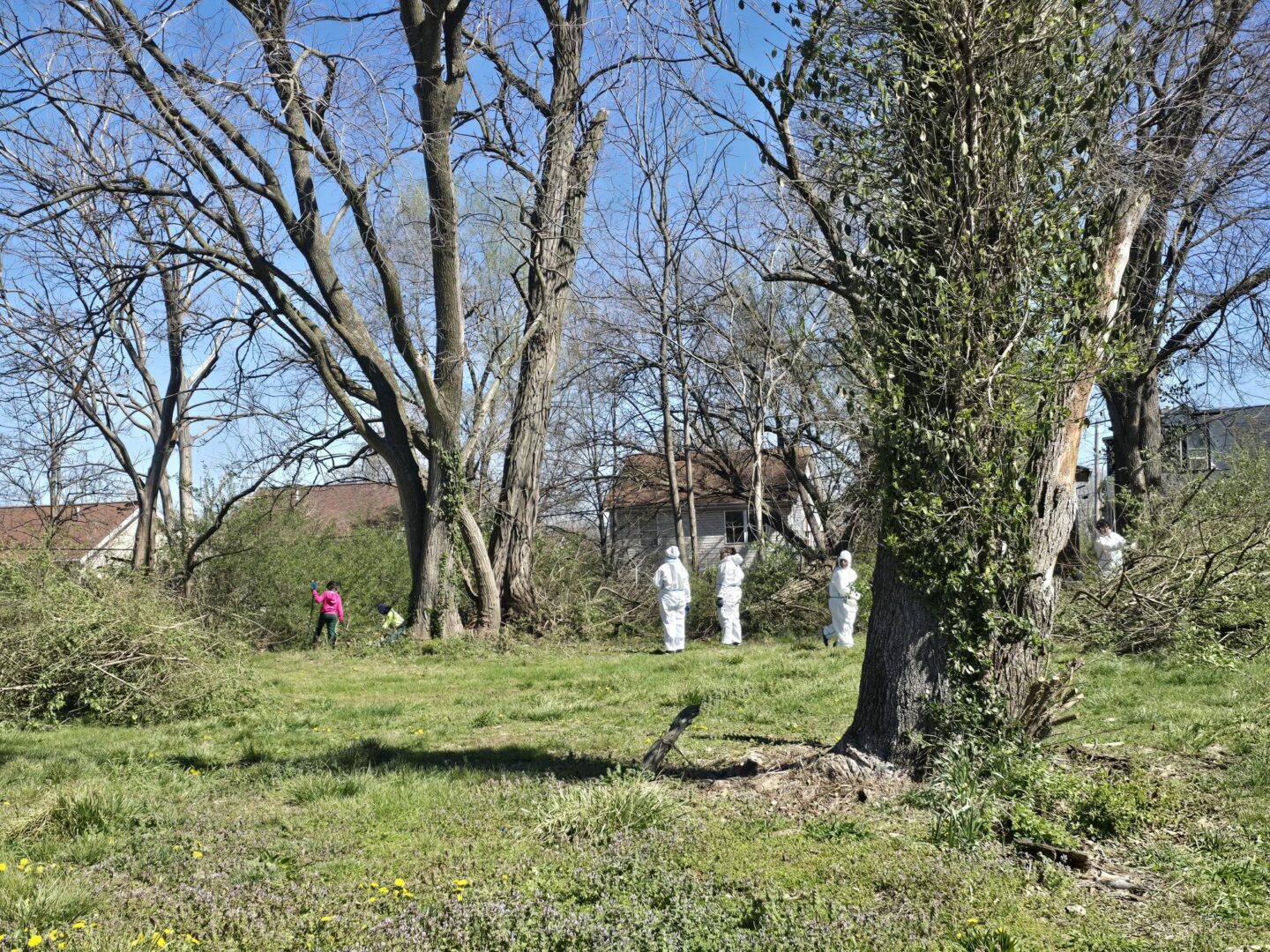 Group of people in white hazmat suits in a grassy yard among leafless trees under a clear blue sky, with a child nearby.